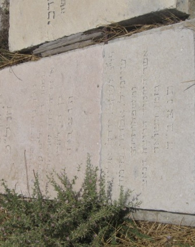 תמונת קבר מרים צביה מרגליות