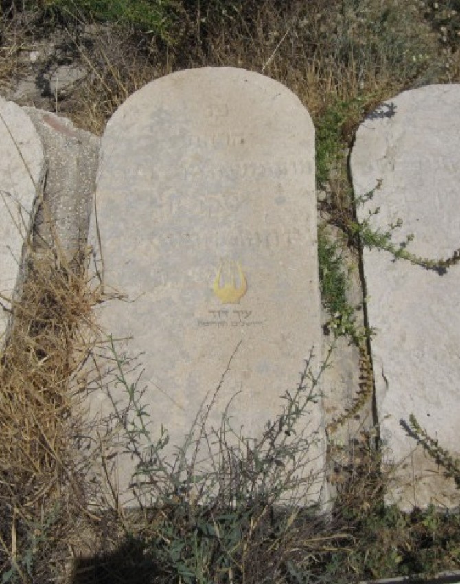 תמונת קבר משה מרדכי ליפשיץ