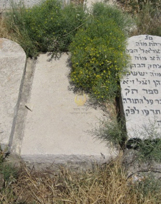 תמונת קבר יעקב גרינברג
