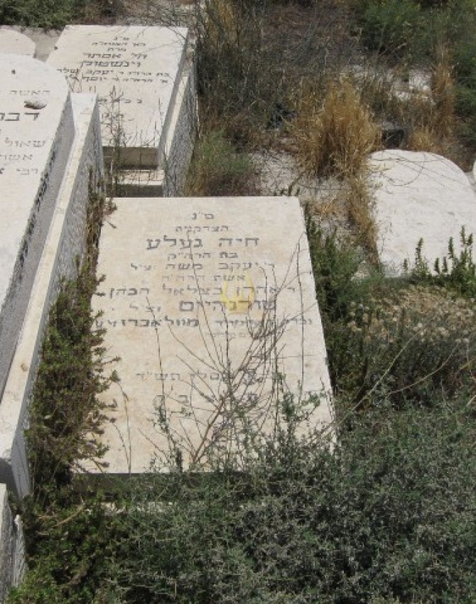 תמונת קבר חיה געלע טורנהיים