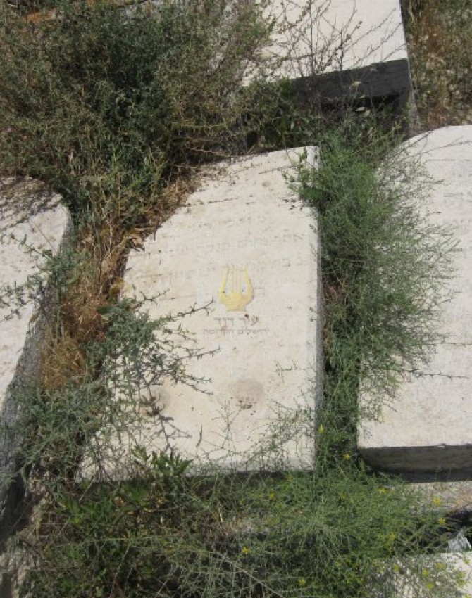 תמונת קבר שרה ברורמן