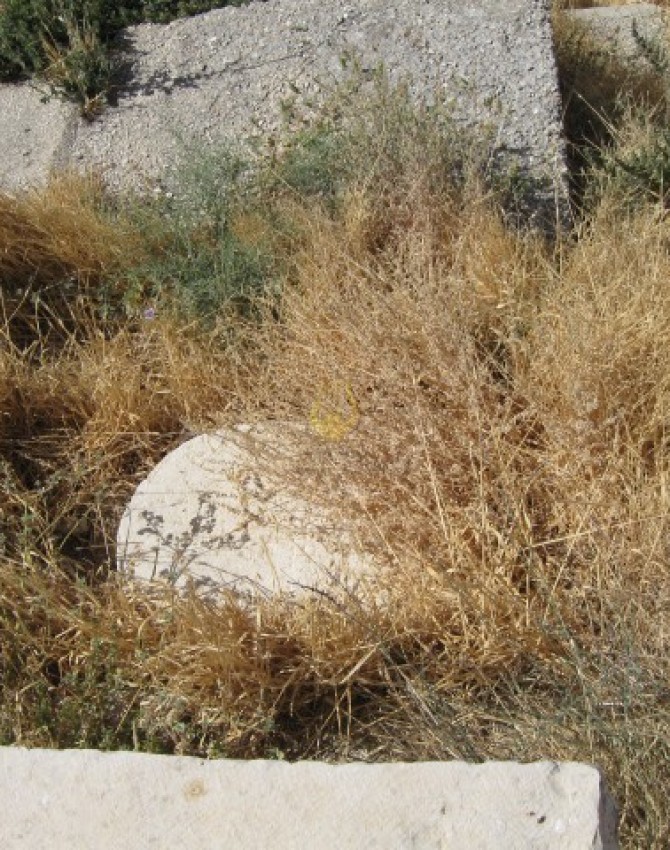 תמונת קבר אליהו גוטמן