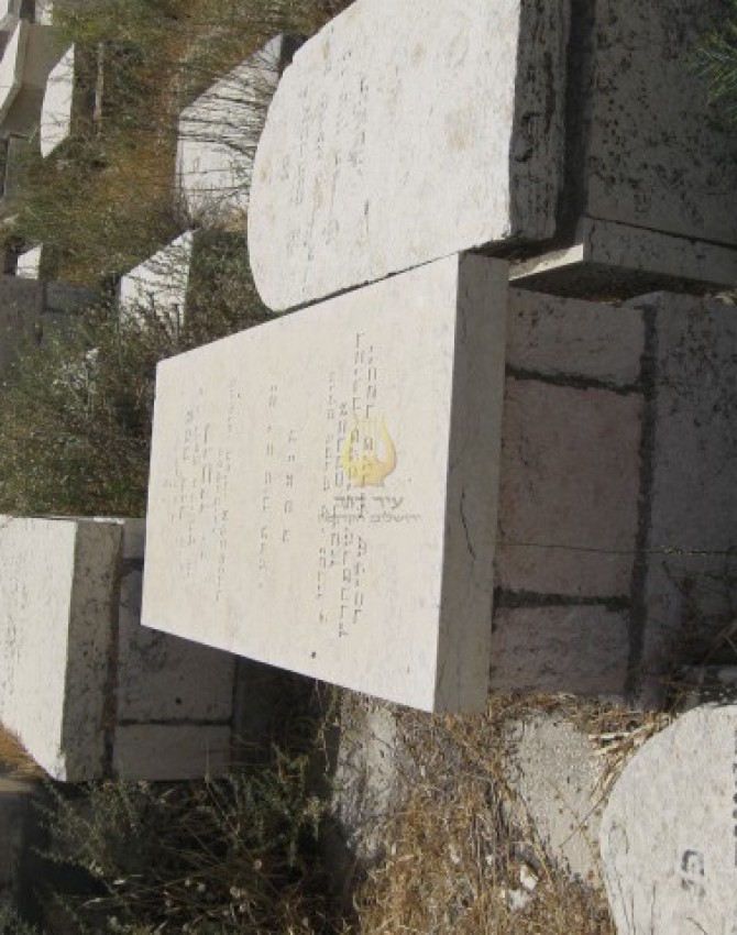 תמונת קבר צמח דוד רובין