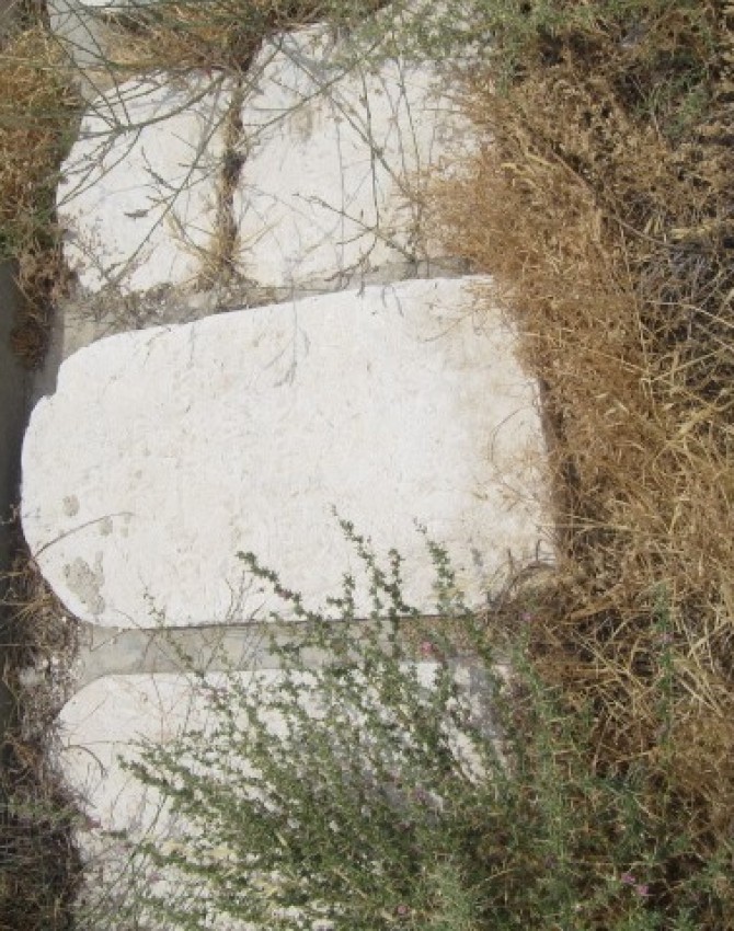 תמונת קבר שפרה