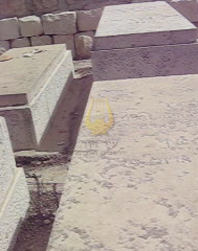 vlcsnap-2020-11-09-13h56m01s307