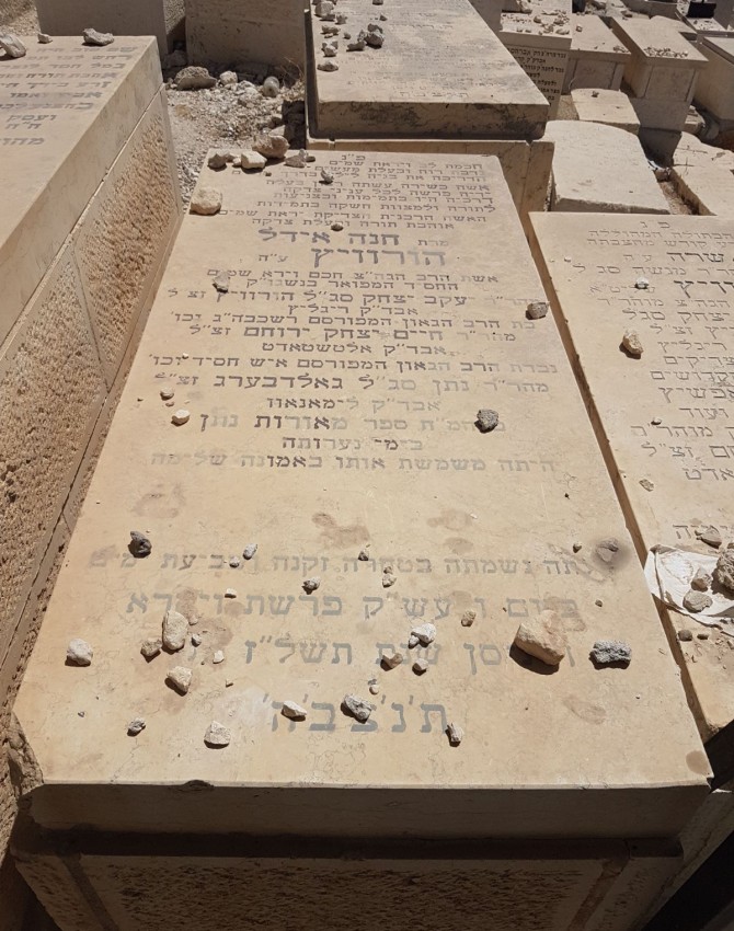 חנה איידל הורוויץ