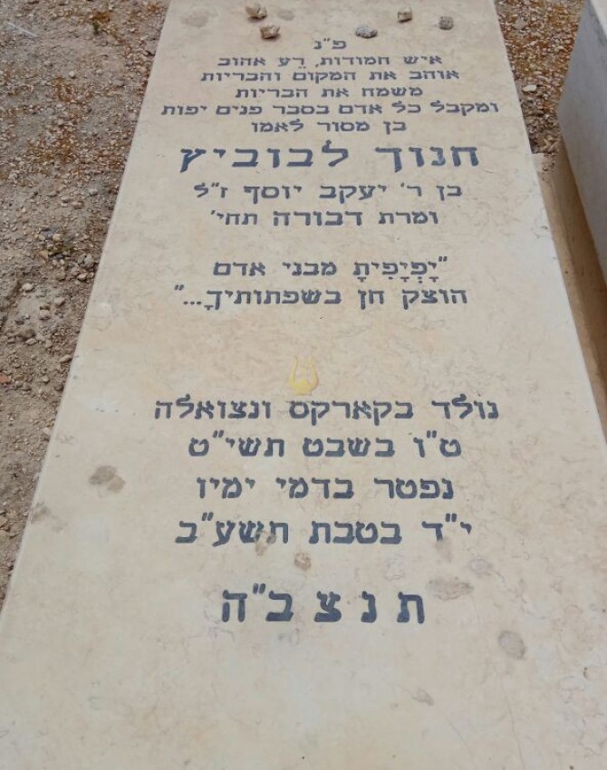 31.776364018039096,35.24259034486022