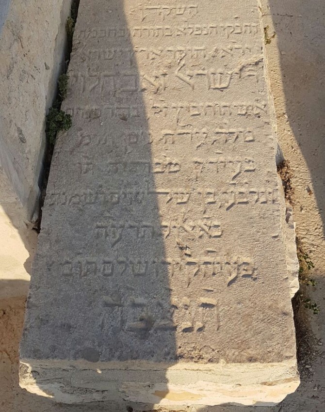 ישראל זאב הורוויץ