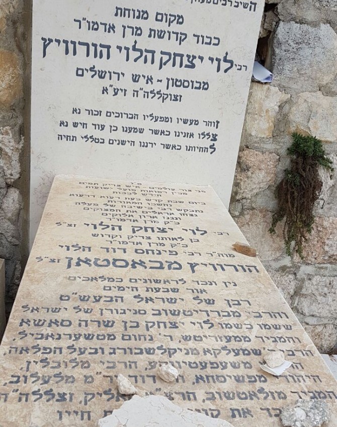 לוי יצחק הלוי הורוויץ