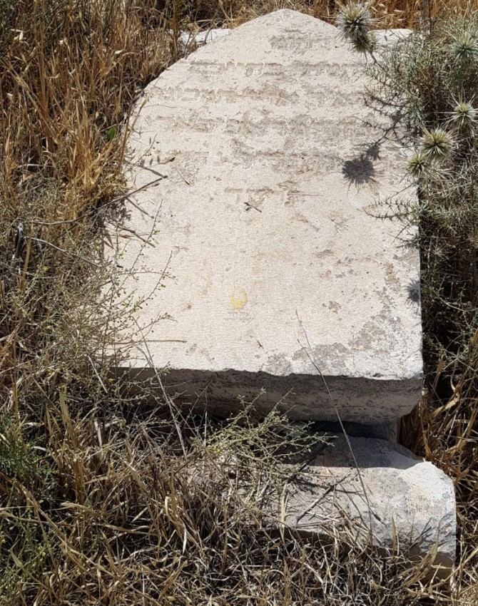 מאיר אריה רפפורט