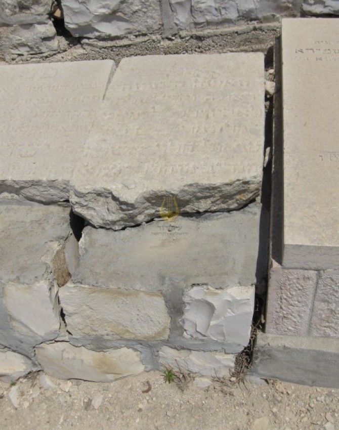 מרים הלוי Miryam Halevi