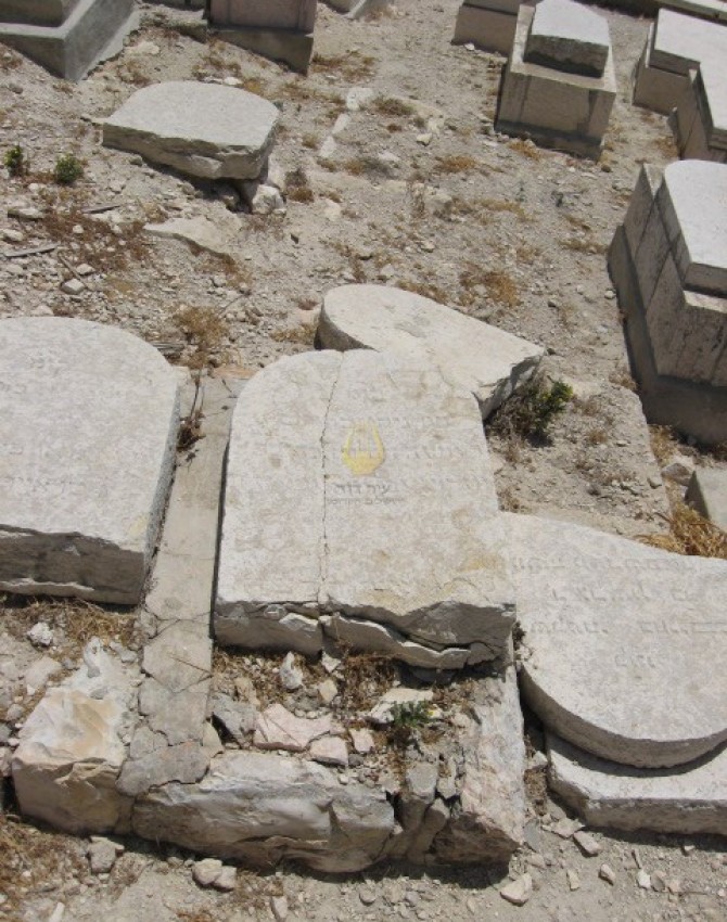 משה ווהלין ד 058