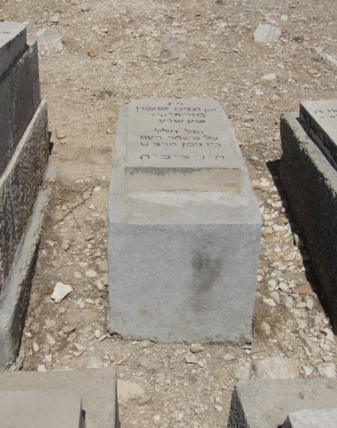 נסים ששון מזרחי שעשוע