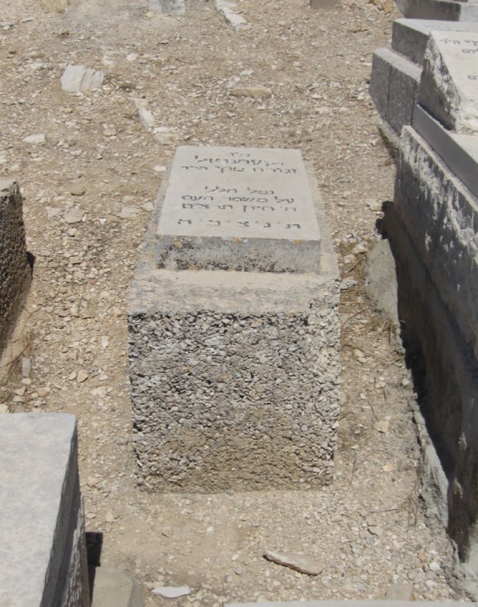 עמנואל זגורודסקי