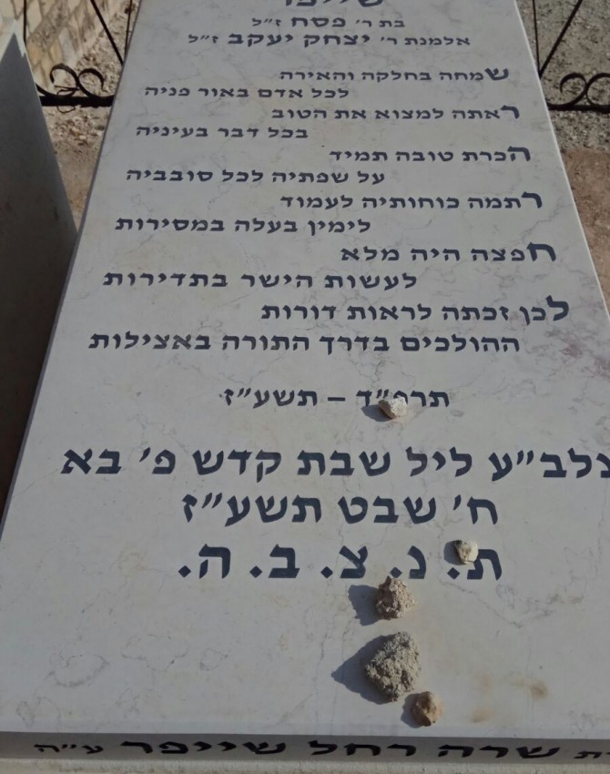 שרה רחל שייפר