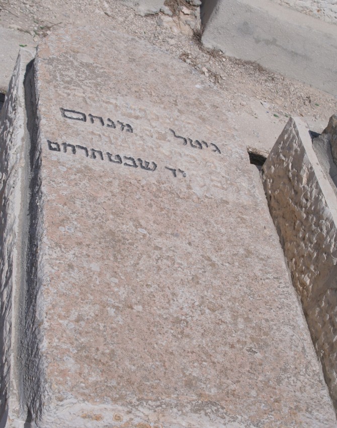 תמונות 563